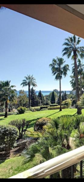 Paradise sur la mer